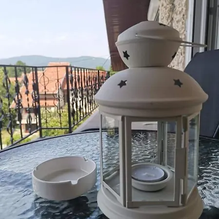 Dragana Vrnjacka Banja *