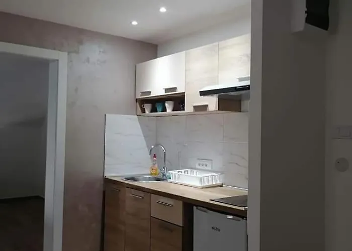 Dragana Vrnjacka Banja شقة