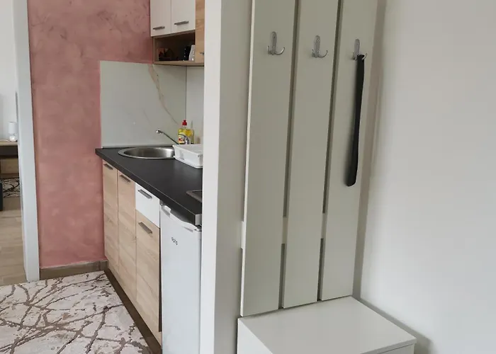 شقة Dragana Vrnjacka Banja Vrnjci